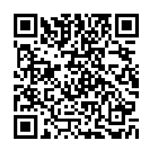 可这三个昔日威风凛凛的队长站在那大鳄鱼脚下二维码生成