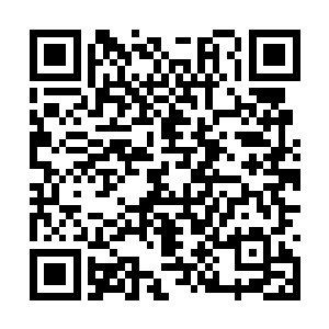 可这却不代表他想要硬拼着自己挨这么凶悍的一掌二维码生成