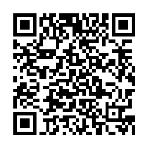 可问题是……青狼现在想站起来都是非常艰难的二维码生成