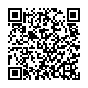 史密斯・张先生也许很快就要为他之前的愚蠢决定买单了二维码生成