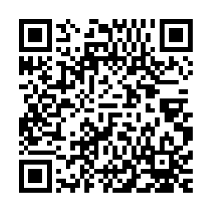 史密斯・张的电影很可能会发展成足以载入史册的现象级电影二维码生成