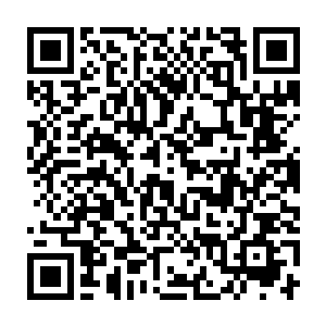 史密斯强行要求新电影的剧组成员参加由香港武师做主安排的武术集训二维码生成