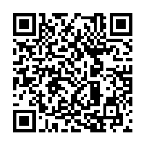 史高飞抱着他的粉红小书包站在火车站售票大厅里二维码生成