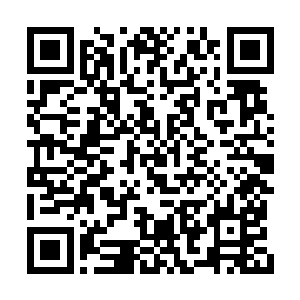 右手那聚集了所有能量的鹤形手看似轻盈的一掏二维码生成