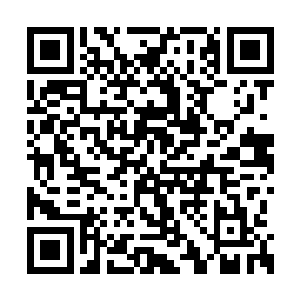 右肩也因为承受了猛烈的压力而炸出了一蓬血雾二维码生成