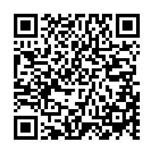 右脸被枝条抽出的斑斑血痕让他看起来更如复仇的魔鬼一样二维码生成