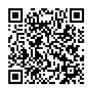 叶子潜意识无论是塑造性还是临时应变性都是一等一的强二维码生成