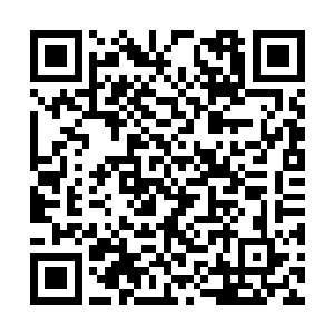 叶尊以杂役弟子的身份强势击败外门天才弟子黄武二维码生成