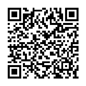 叶楚曾经感叹过自己好运气能得到这样两个侍女二维码生成