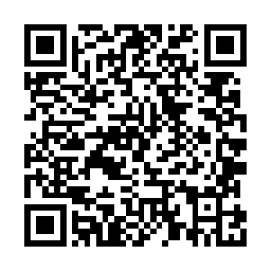 叶楚此刻的实力带几个人进青弥山不是什么问题二维码生成