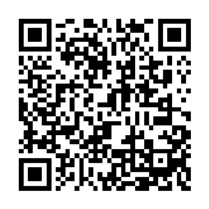 叶海凝穿着一件睡裙迷迷糊糊的从楼上走了下来二维码生成