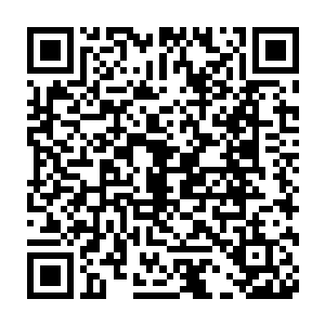 叶灵儿那俏皮可爱的模样在进入学校第一天便引起了众多男生的追捧二维码生成