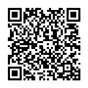 叶然诧异的看着那只由某种橙黄色液体组成的鸟类二维码生成