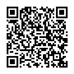 叶秋他们已经享用完了白面和楚阳为他们准备的小点心二维码生成