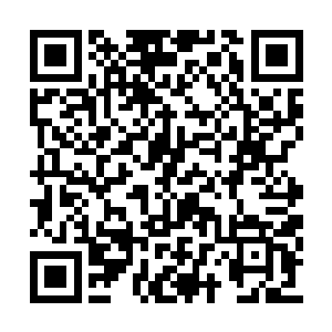叶秋决定自己要赶紧趁着这个时间将梵天追回来二维码生成
