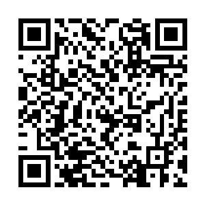 叶秋告诉林熙蕾将车停在离洛家两条街外的公园旁二维码生成