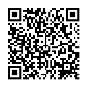 叶秋和叶凡再一次盘坐下来了把更多的真气传送给了樱子二维码生成
