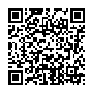 叶秋拿着包在公交车上思考着见到杨平之自己应该怎么说二维码生成