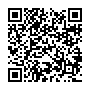 叶秋看到梵天带着关心的话语开心地对着梵天说道二维码生成