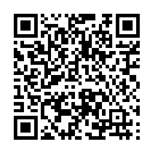 叶秋能够从这一点看出来梵天应该已经原谅自己了二维码生成