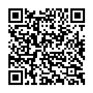 叶秋还真有可能以他们犯错的名义来割陈康的脸二维码生成