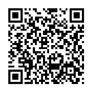 叶笑感觉自己身上简直就像被活活地扒下来一层皮二维码生成