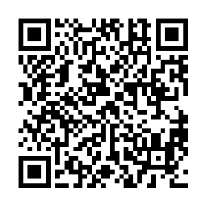 叶笑指着万正豪拿出来的灵宝阁在寒阳大陆的势力分布图二维码生成