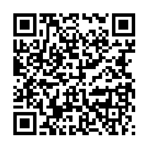 叶芸伸手戳戳妹妹的额头――她看上去还是一副十七二维码生成