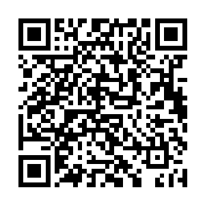 叶芸和叶蕊则跟着承云宗的修士回到了居住的浮岛上二维码生成