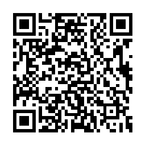 叶逸之没去打探姐姐到底修炼了什么独特的功法二维码生成