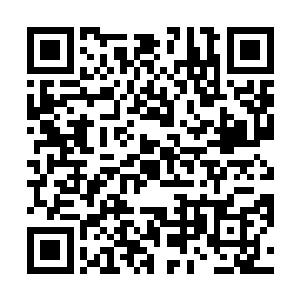 司博简心里也不是十分确定这黑色小鸟就是真凤的后代二维码生成