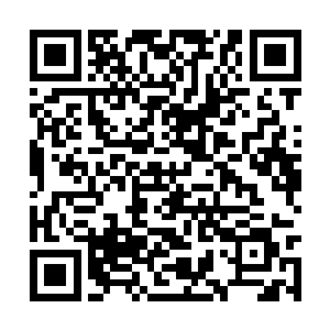 司徒明月发现自己的心情似乎没有多少畏惧和惶恐二维码生成