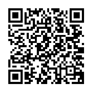 司马懿和寂寞侯已经组织着谷底的众人快速移动到了峡谷上方二维码生成