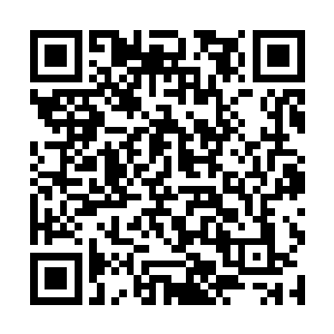 各个势力天骄身边都有道尊级别的高手随从保护簇拥二维码生成