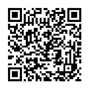 各式各样的社团活动占据了他们从放学到天黑的大半时间二维码生成