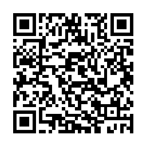 各种各样夏天连见都没见过的水怪出现在夏天的面前二维码生成