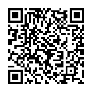 各种极品的炼器材料竟然都像垃圾一样堆放在地上二维码生成