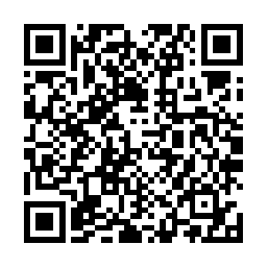各种看似强大的豺狼虎豹纷纷倒在石斧和石矛攻击之下二维码生成