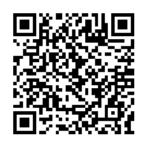 各节点的仙人就抽调不出来……到这里后继乏力二维码生成