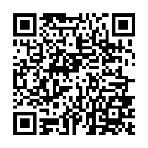 各路大大小小的报纸原本头版上雷打不动的世界杯报道二维码生成