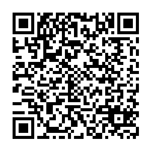 同一个舞台上其他几位演员扎实的表演基础使得他们虽然不出彩但也不落于下风二维码生成