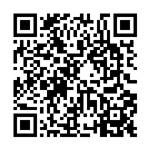 同时他们也知道如果那只紫级融合兽想要杀死他们二维码生成