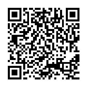 同时他那充满了讽刺意味的笑声也从那血色漩涡之后传了出来二维码生成