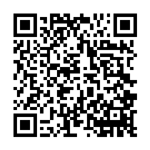 同时以强横的灵魂之力直接在二十四位至尊脑海中吼道二维码生成