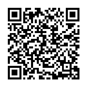 同时又变成了入侵晶脑和干扰灵网的专家会不会太夸张点啊二维码生成