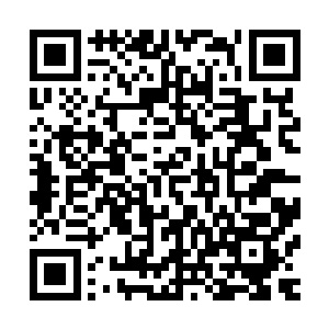 同时和沈枫互相思念的情愫全都用朴实无华的文字表达了出来二维码生成