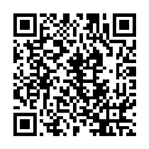 同时开始进一步接引这种力量融入到自己识海的每一个角落二维码生成