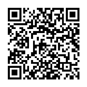 同时愤怒和楚旬对他所造成的重创也让他发出一声咆哮二维码生成