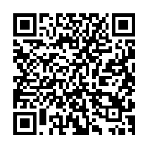 同时自然也导致机甲内的智能电脑再次发出了刺耳的警报声来二维码生成