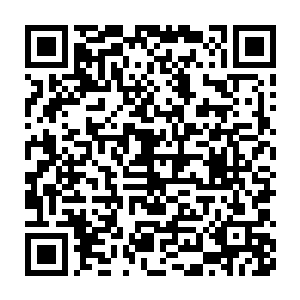 同时魔化分身拳头上的利爪也深深刺入了双头蜈蚣那塌陷的脑袋智商二维码生成